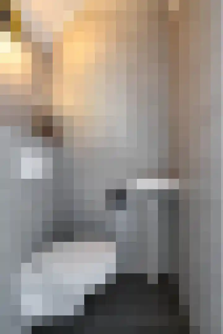 Boerhoorn 2 Vries thumbnail 12