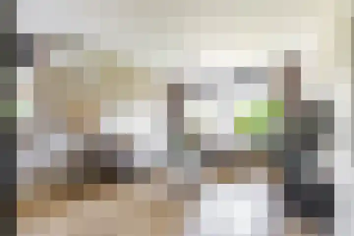 Boerhoorn 2 Vries thumbnail 14