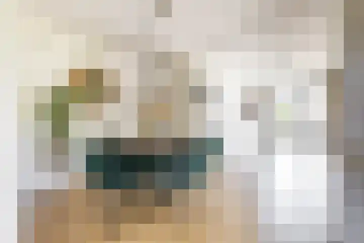 Boerhoorn 2 Vries thumbnail 16