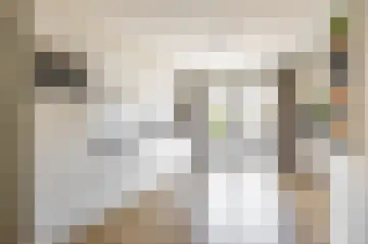 Boerhoorn 2 Vries thumbnail 17