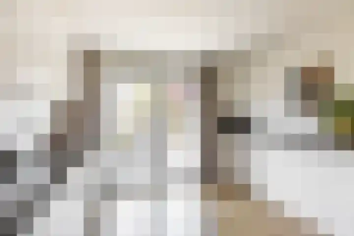Boerhoorn 2 Vries thumbnail 18