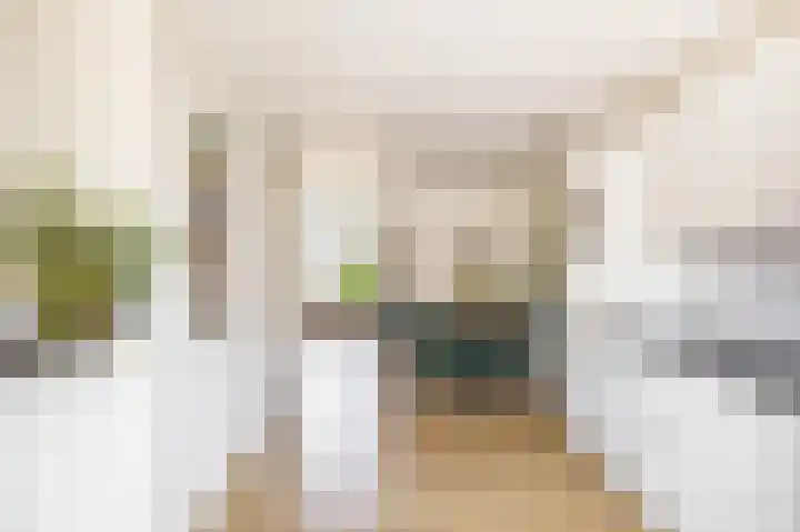 Boerhoorn 2 Vries thumbnail 20
