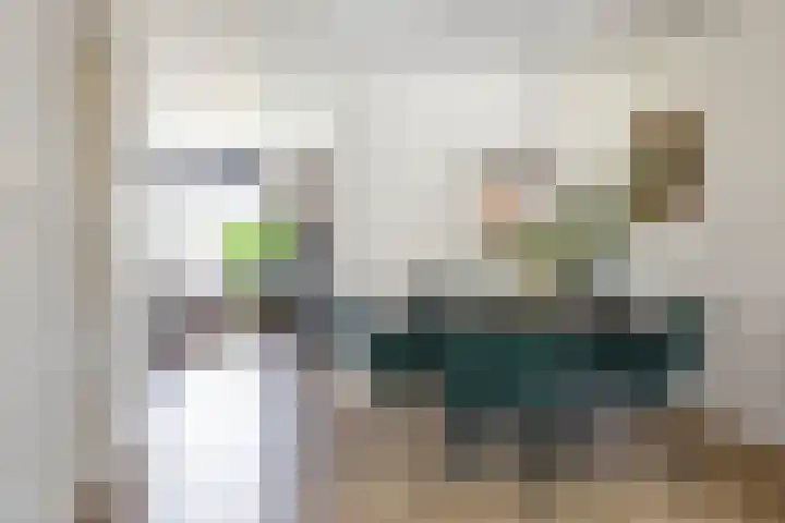 Boerhoorn 2 Vries thumbnail 21