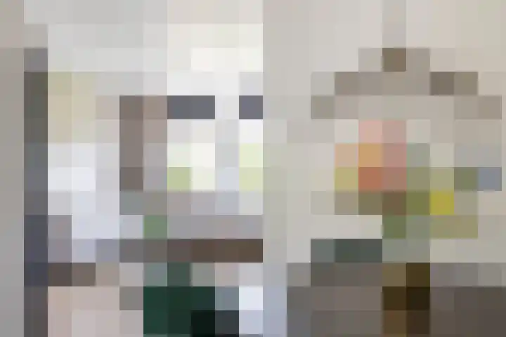 Boerhoorn 2 Vries thumbnail 22