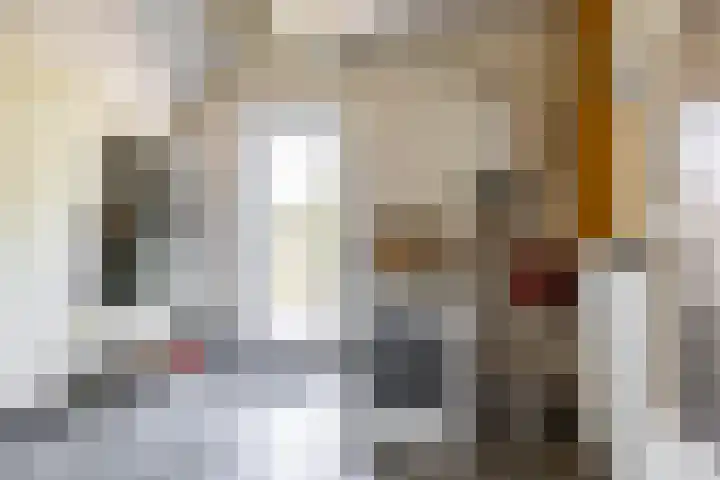 Boerhoorn 2 Vries thumbnail 23