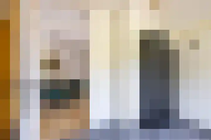 Boerhoorn 2 Vries thumbnail 24