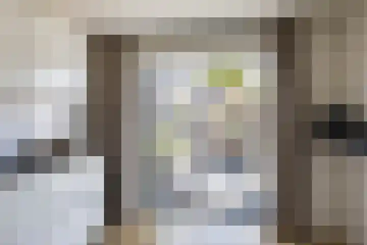 Boerhoorn 2 Vries thumbnail 25