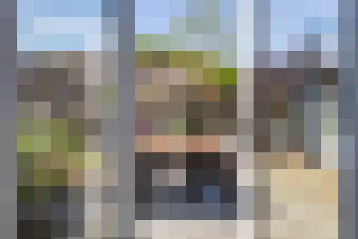 Boerhoorn 2 Vries thumbnail 26