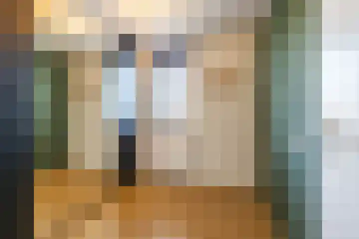 Boerhoorn 2 Vries thumbnail 31