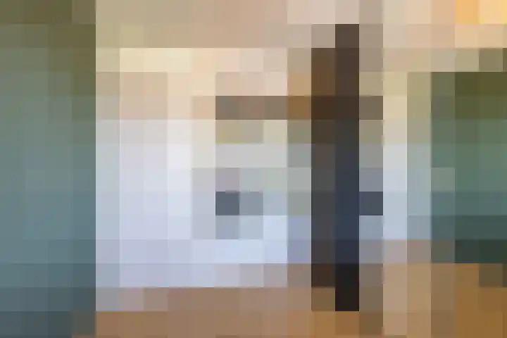 Boerhoorn 2 Vries thumbnail 32