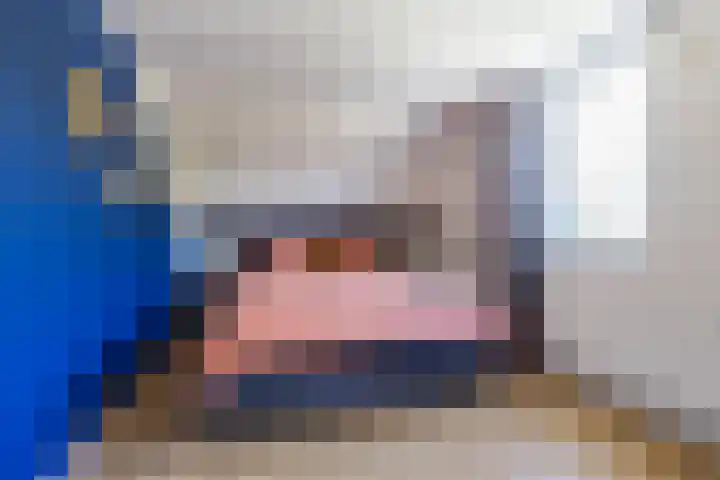 Boerhoorn 2 Vries thumbnail 34