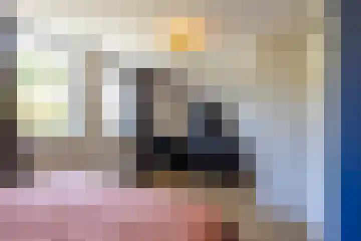 Boerhoorn 2 Vries thumbnail 35
