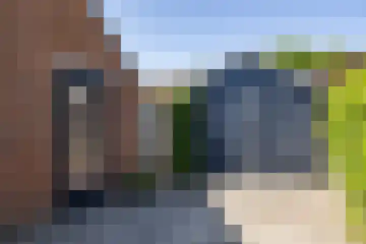 Boerhoorn 2 Vries thumbnail 36