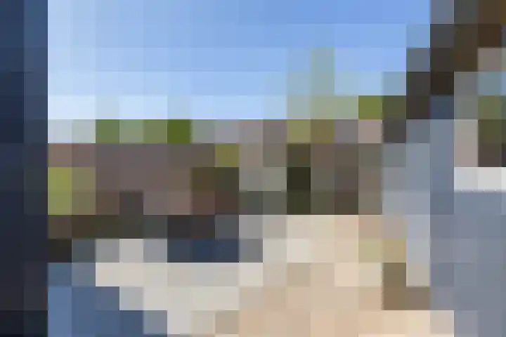 Boerhoorn 2 Vries thumbnail 38