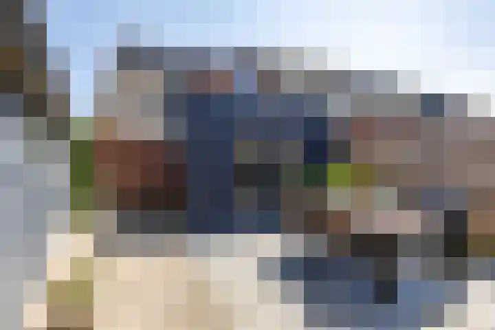 Boerhoorn 2 Vries thumbnail 39