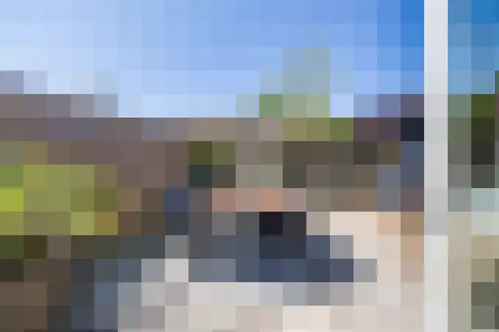 Boerhoorn 2 Vries thumbnail 40