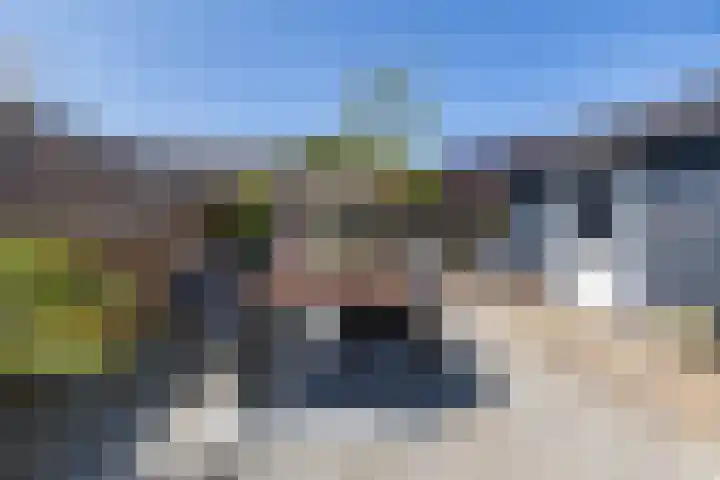 Boerhoorn 2 Vries thumbnail 41