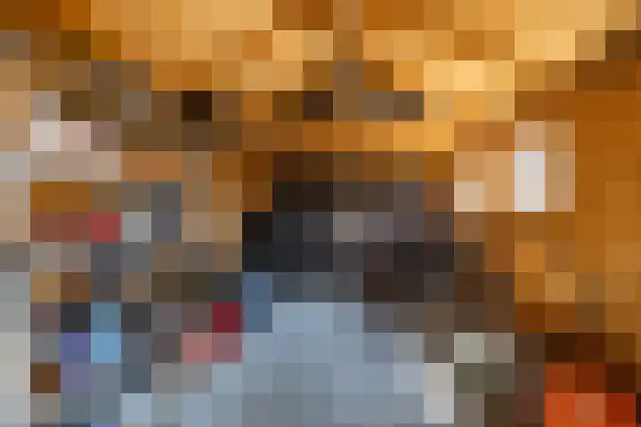 Boerhoorn 2 Vries thumbnail 43