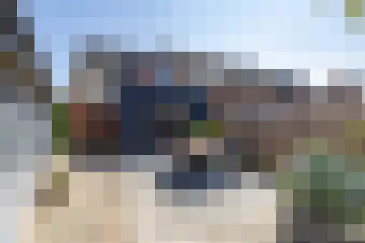 Boerhoorn 2 Vries thumbnail 5
