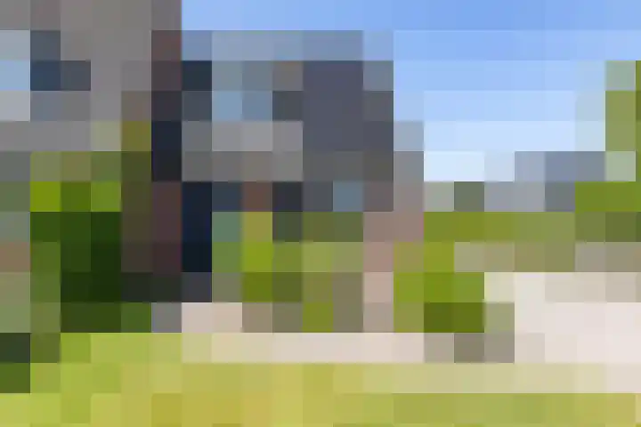 Boerhoorn 2 Vries thumbnail 8