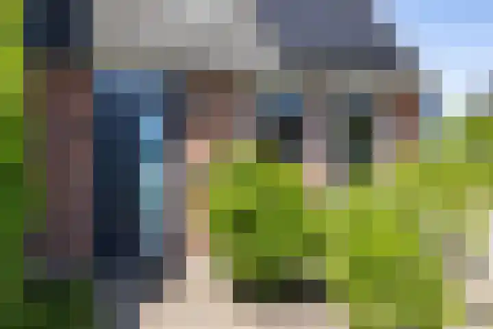 Boerhoorn 2 Vries thumbnail 9