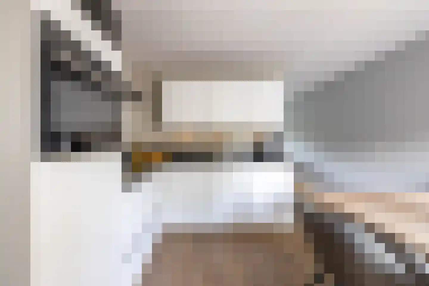 Boerhoorn 23 Glimmen thumbnail 16