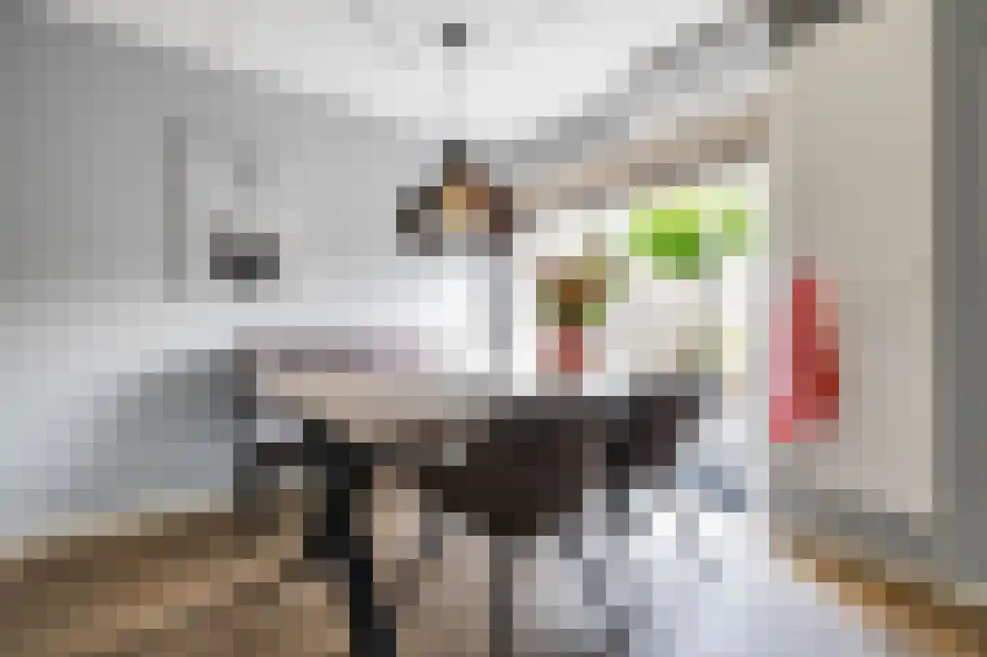 Boerhoorn 23 Glimmen thumbnail 17