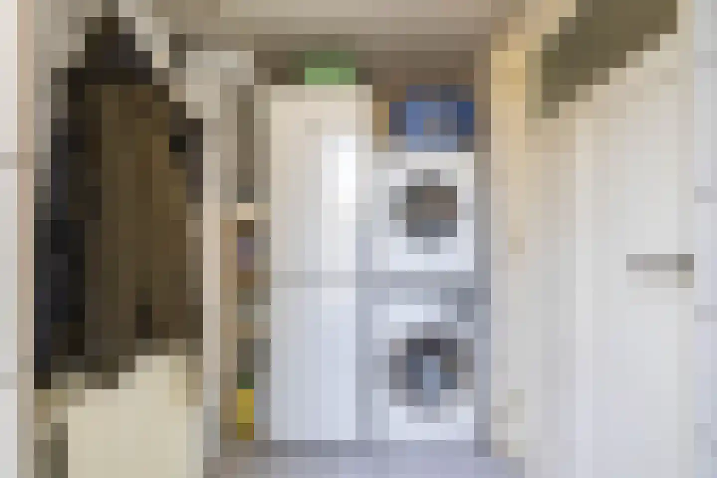 Boerhoorn 23 Glimmen thumbnail 21