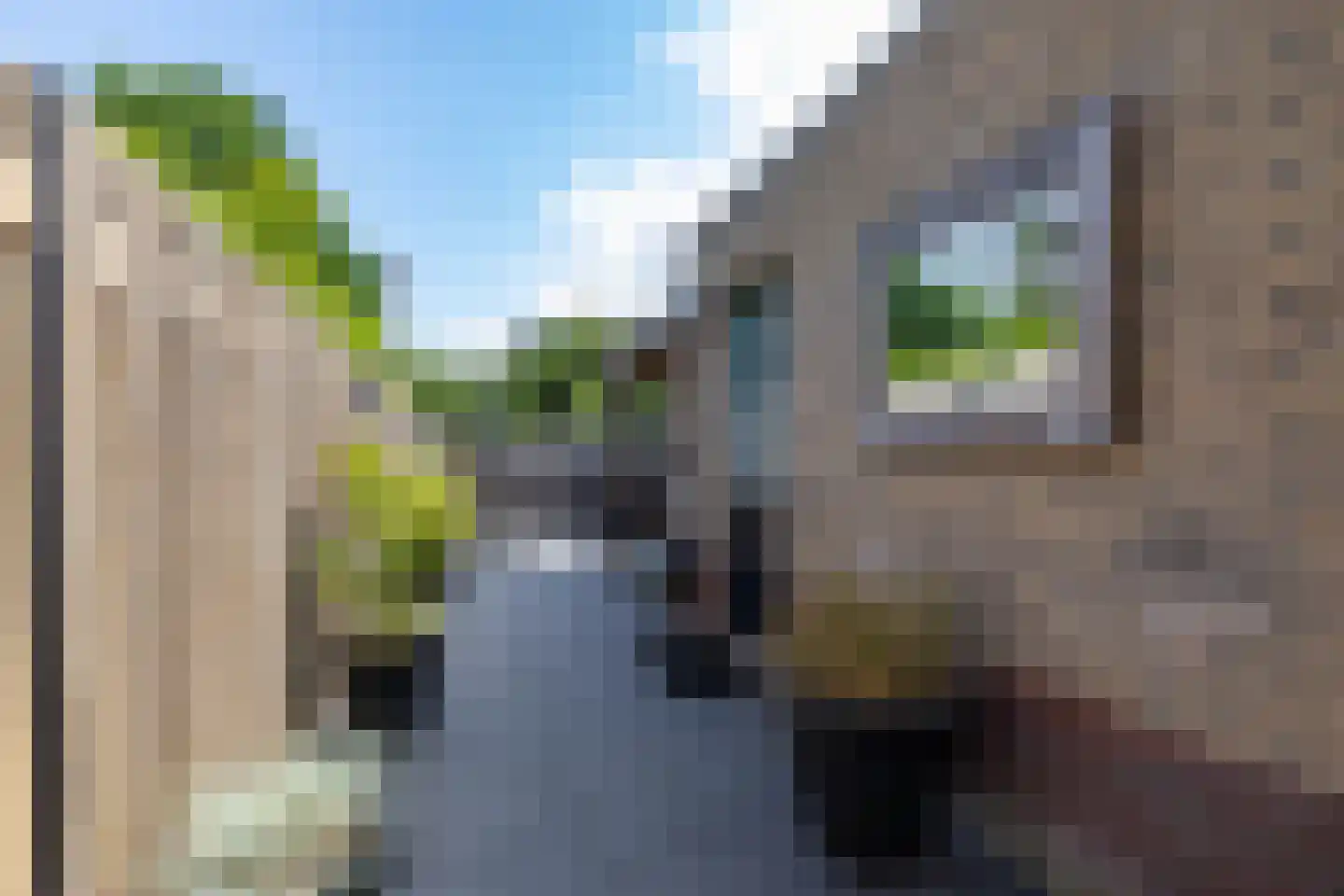 Boerhoorn 23 Glimmen thumbnail 23
