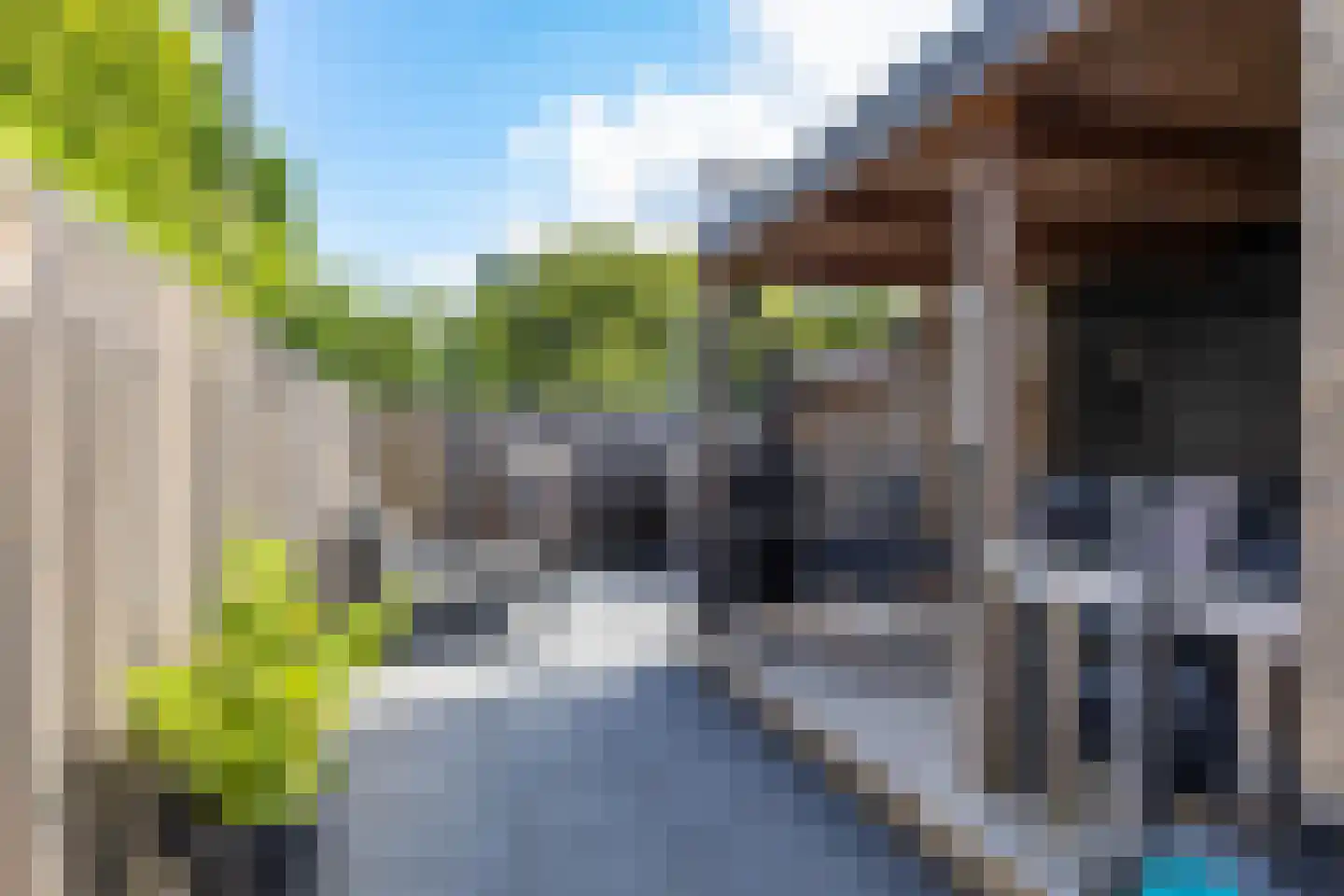 Boerhoorn 23 Glimmen thumbnail 24