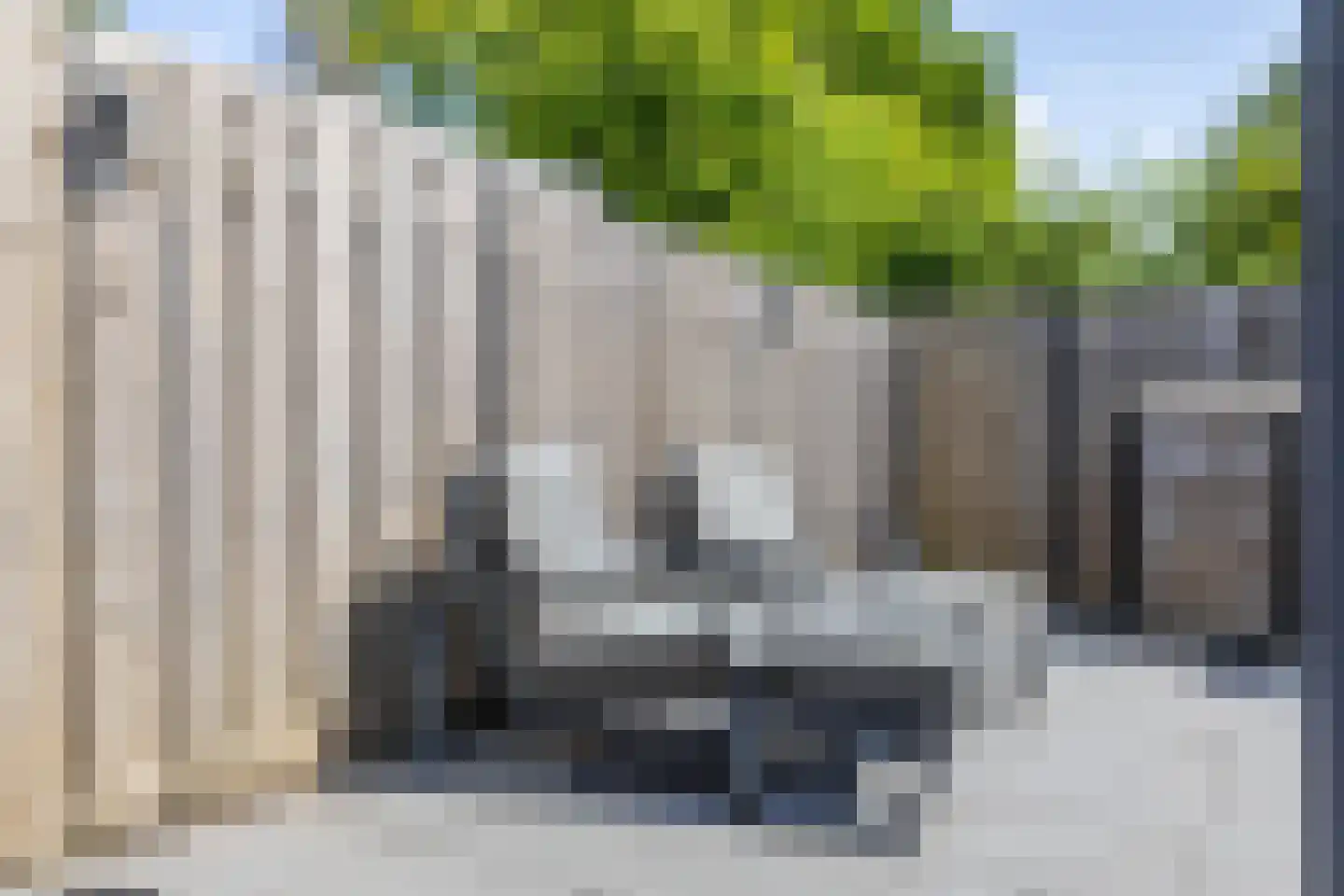 Boerhoorn 23 Glimmen thumbnail 26