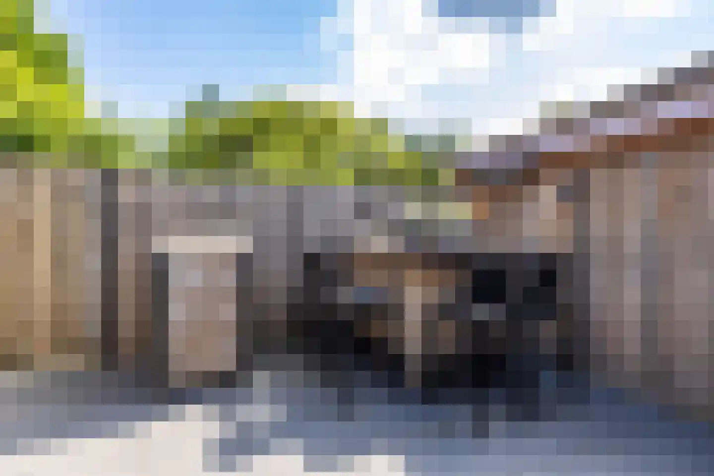 Boerhoorn 23 Glimmen thumbnail 27
