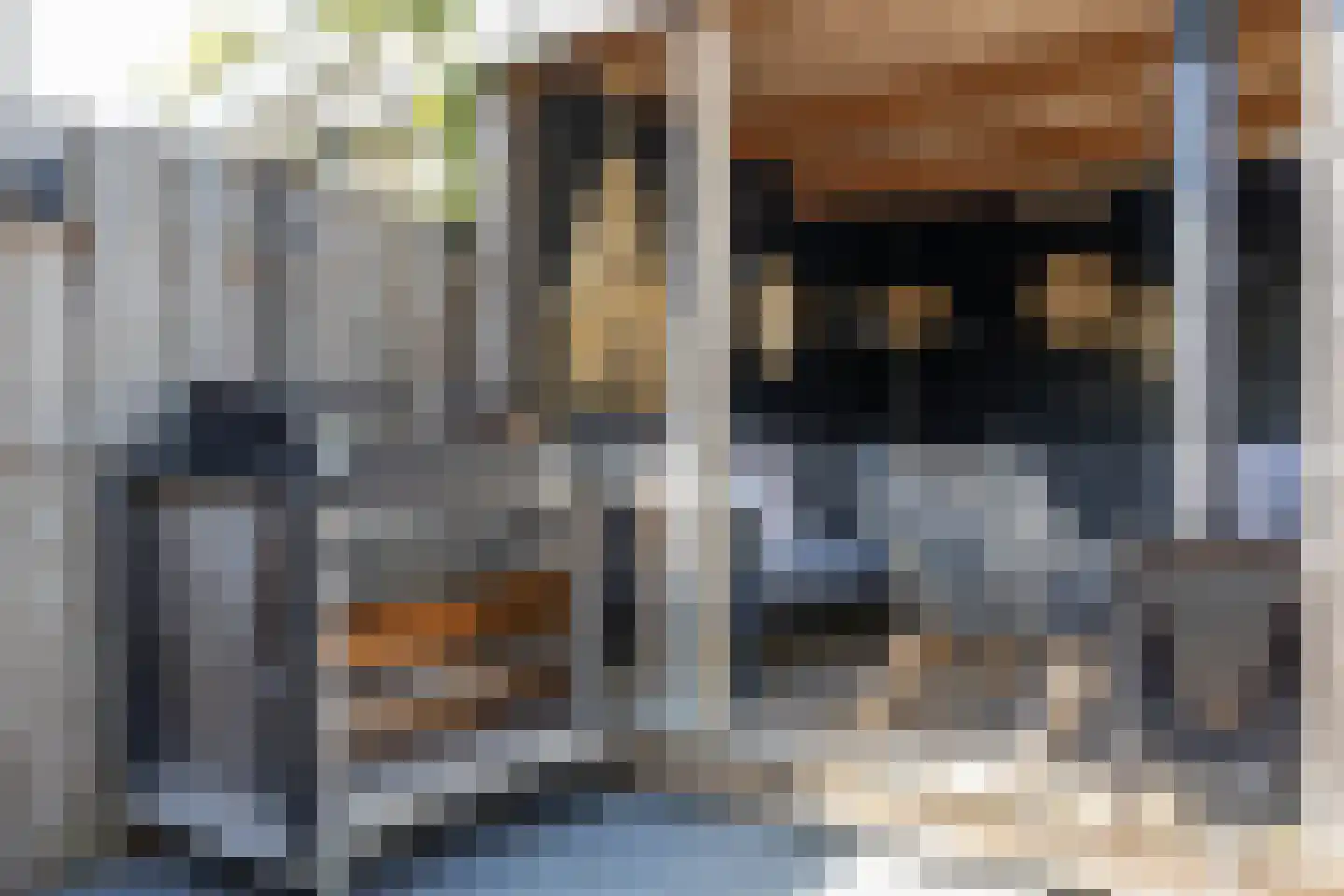 Boerhoorn 23 Glimmen thumbnail 33