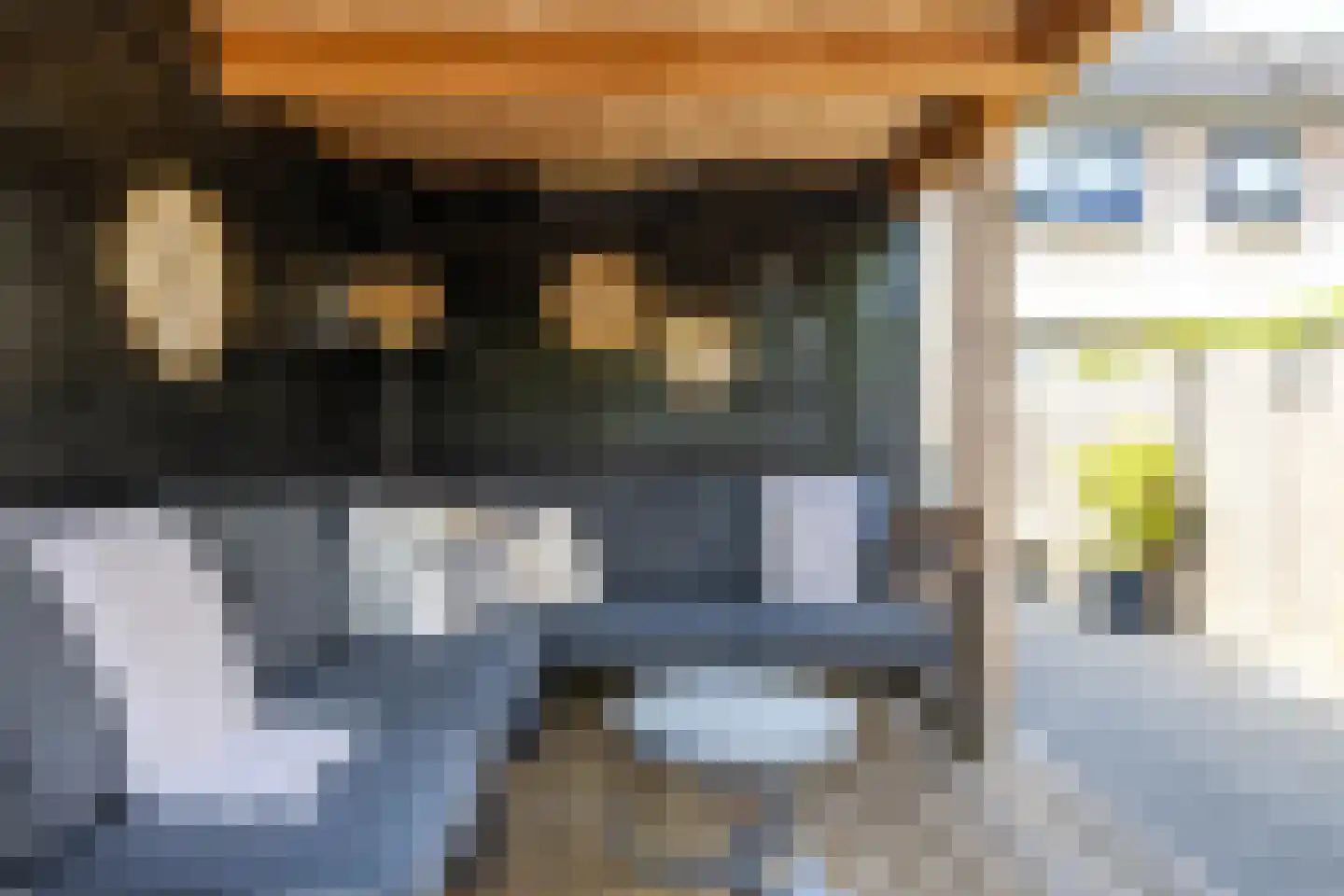 Boerhoorn 23 Glimmen thumbnail 34
