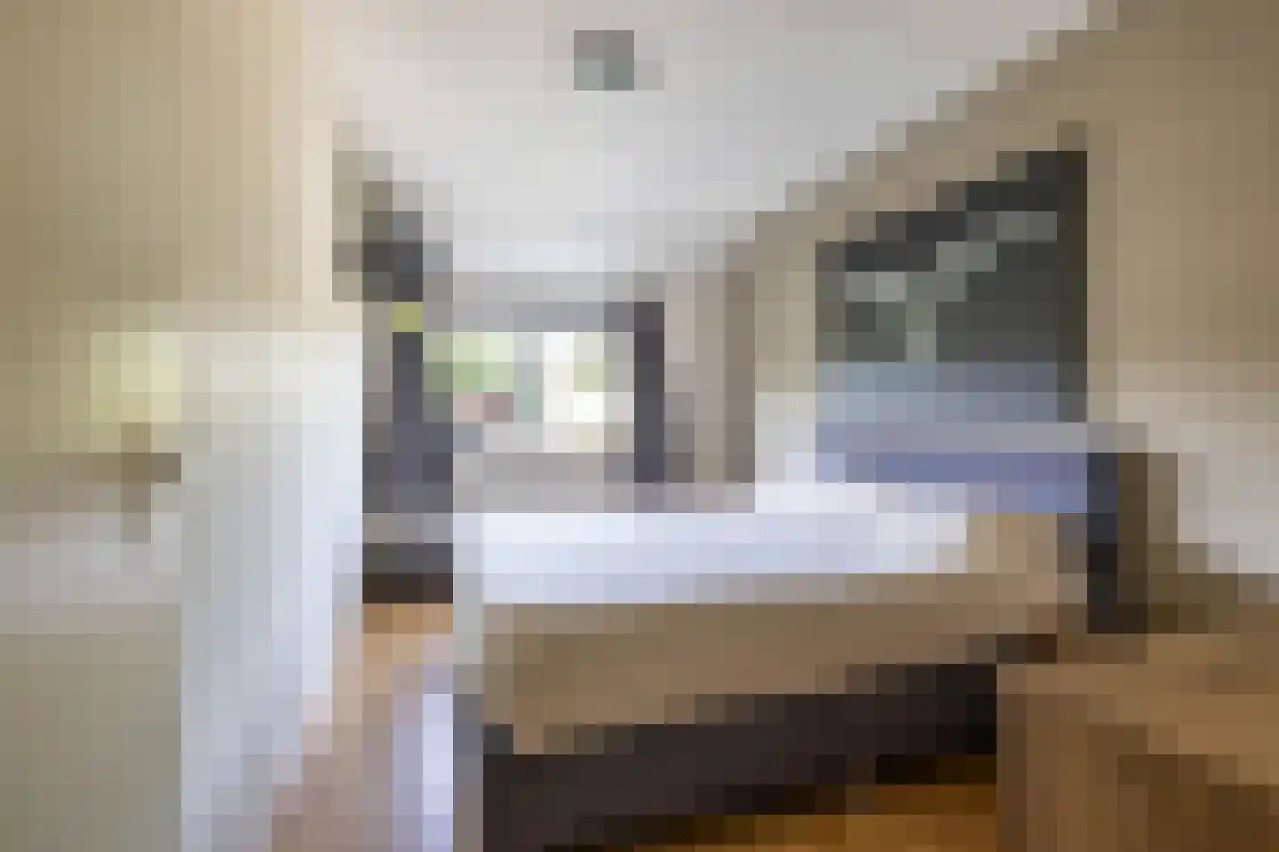 Boerhoorn 23 Glimmen thumbnail 36