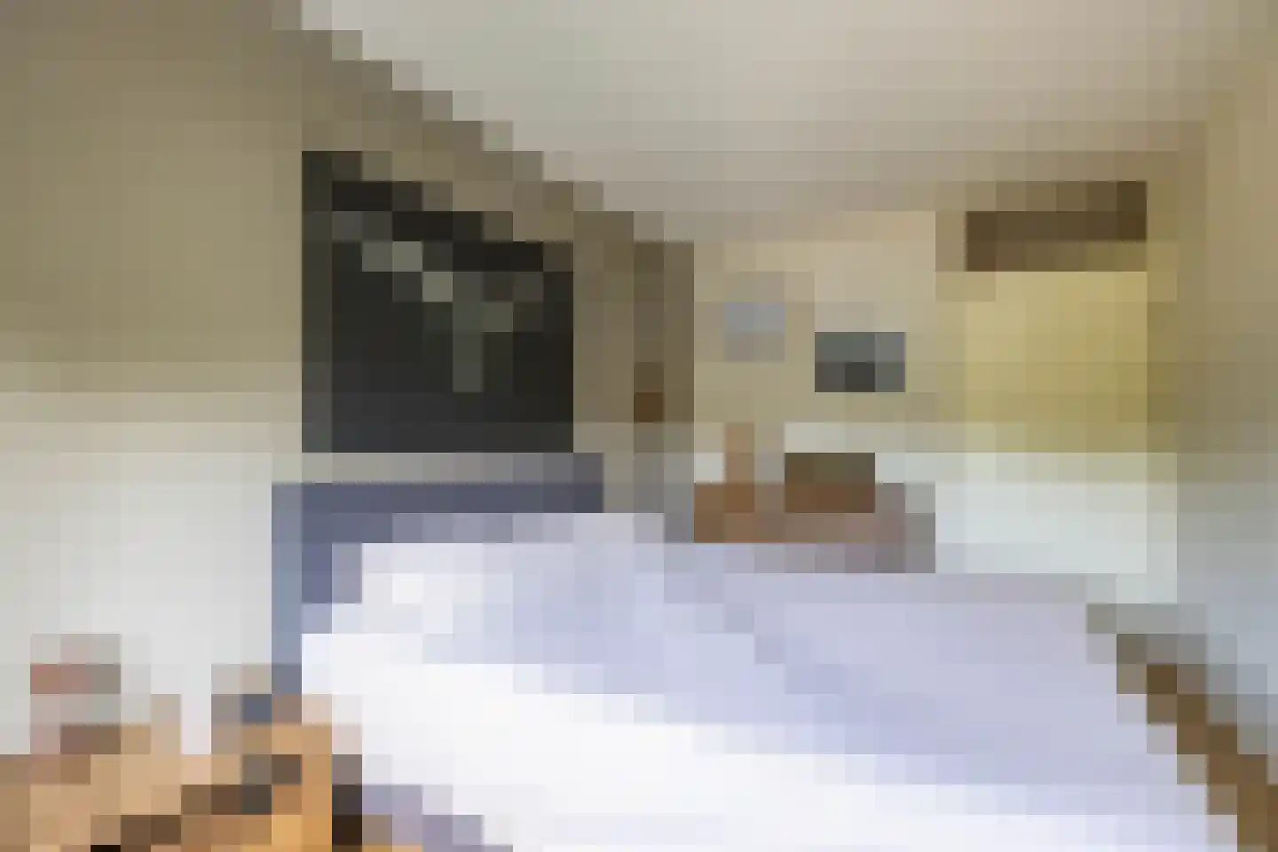 Boerhoorn 23 Glimmen thumbnail 37
