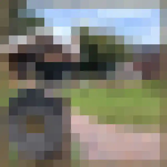 Boerhoorn 23 Glimmen thumbnail 39