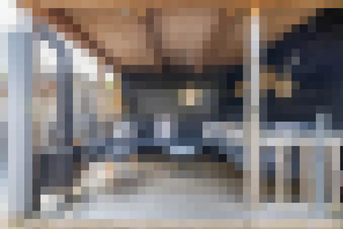 Boerhoorn 23 Glimmen thumbnail 4