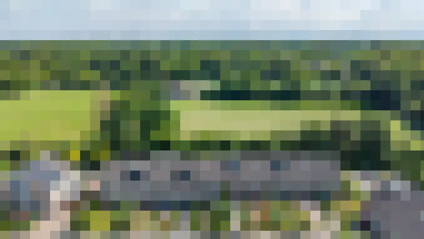 Boerhoorn 23 Glimmen thumbnail 53