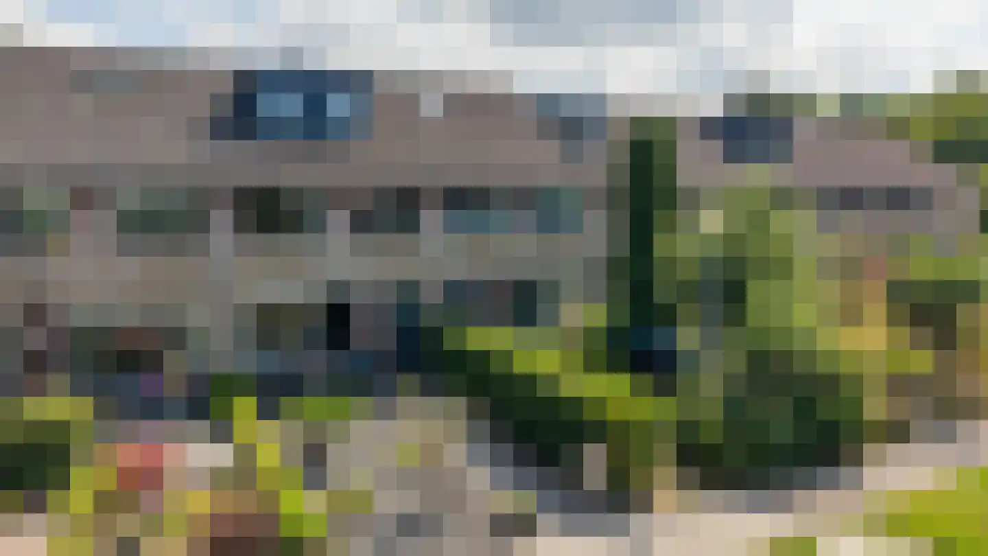 Boerhoorn 23 Glimmen thumbnail 56