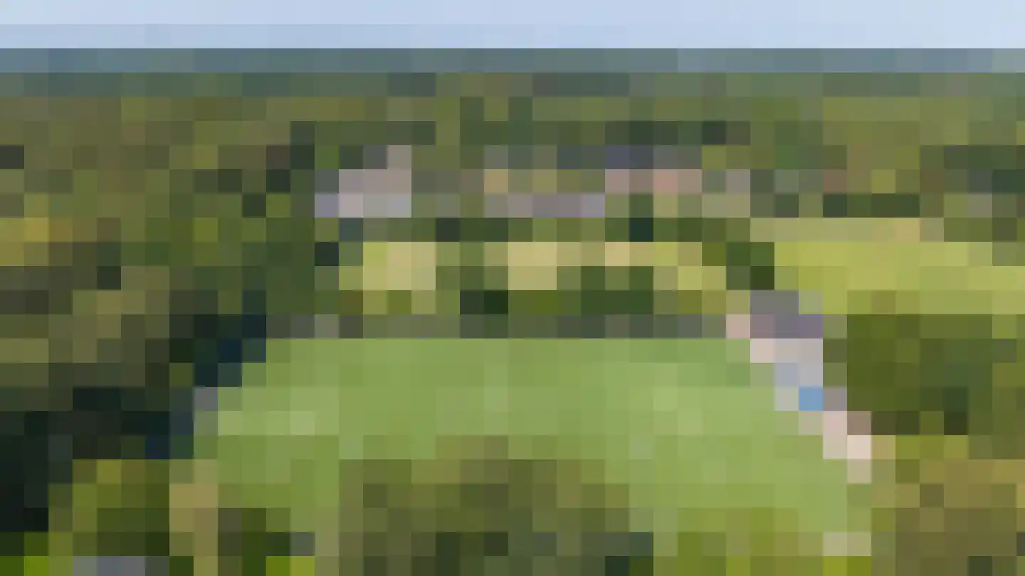 Boerhoorn 23 Glimmen thumbnail 57
