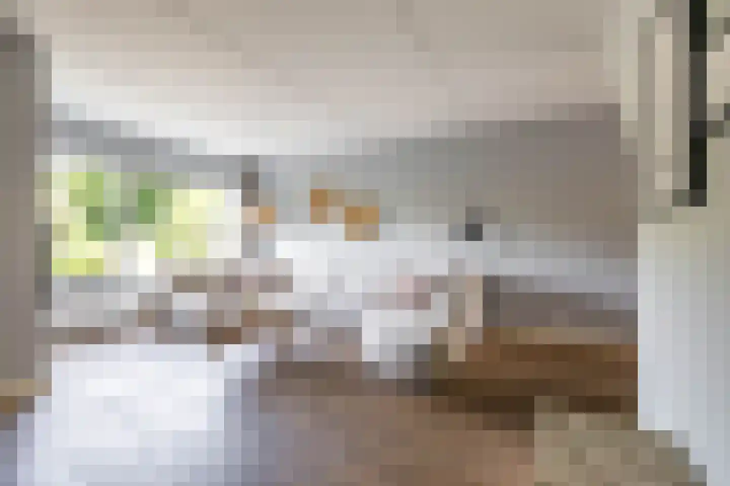 Boerhoorn 23 Glimmen thumbnail 9