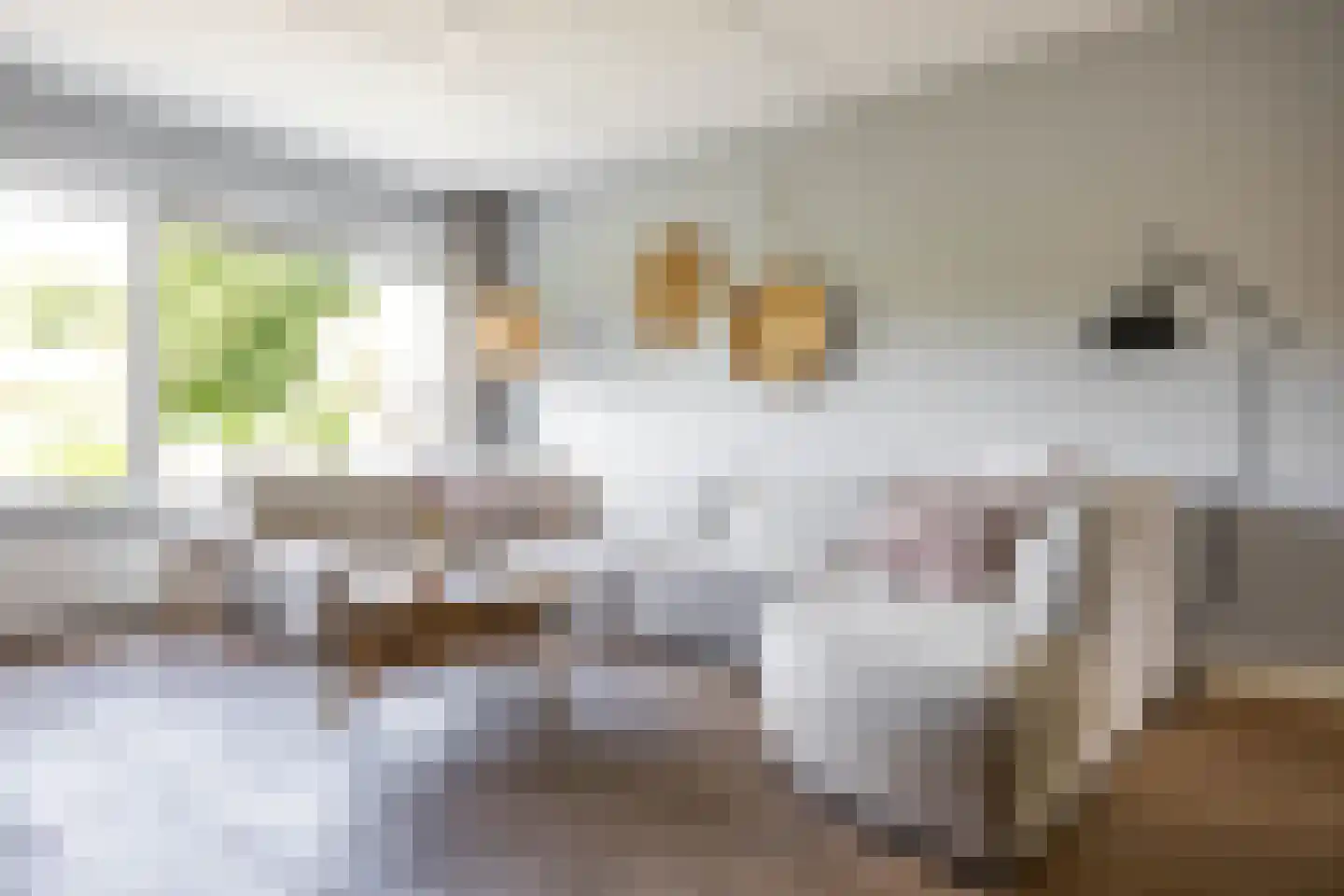 Boerhoorn 23 Glimmen thumbnail 9