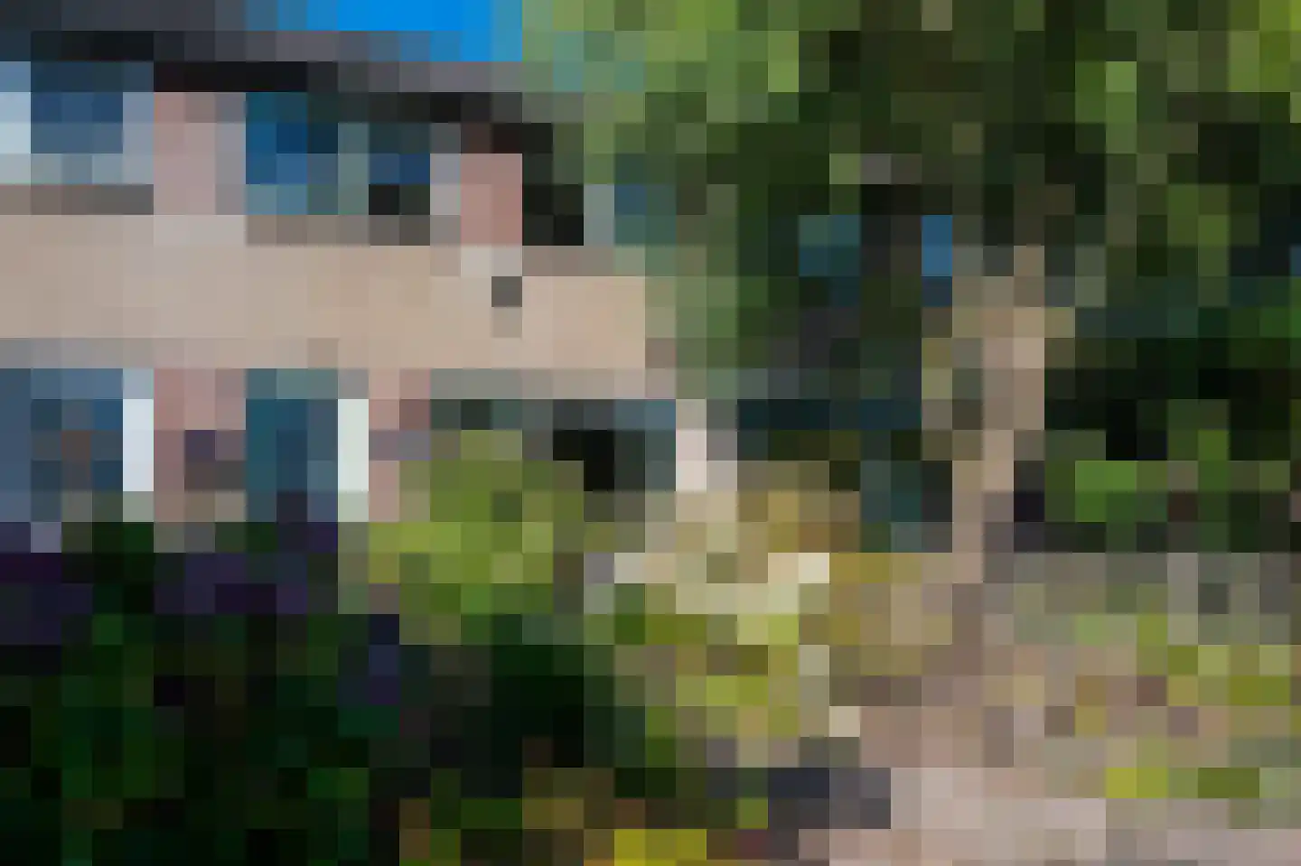Boerhoorn 3 Glimmen thumbnail 12