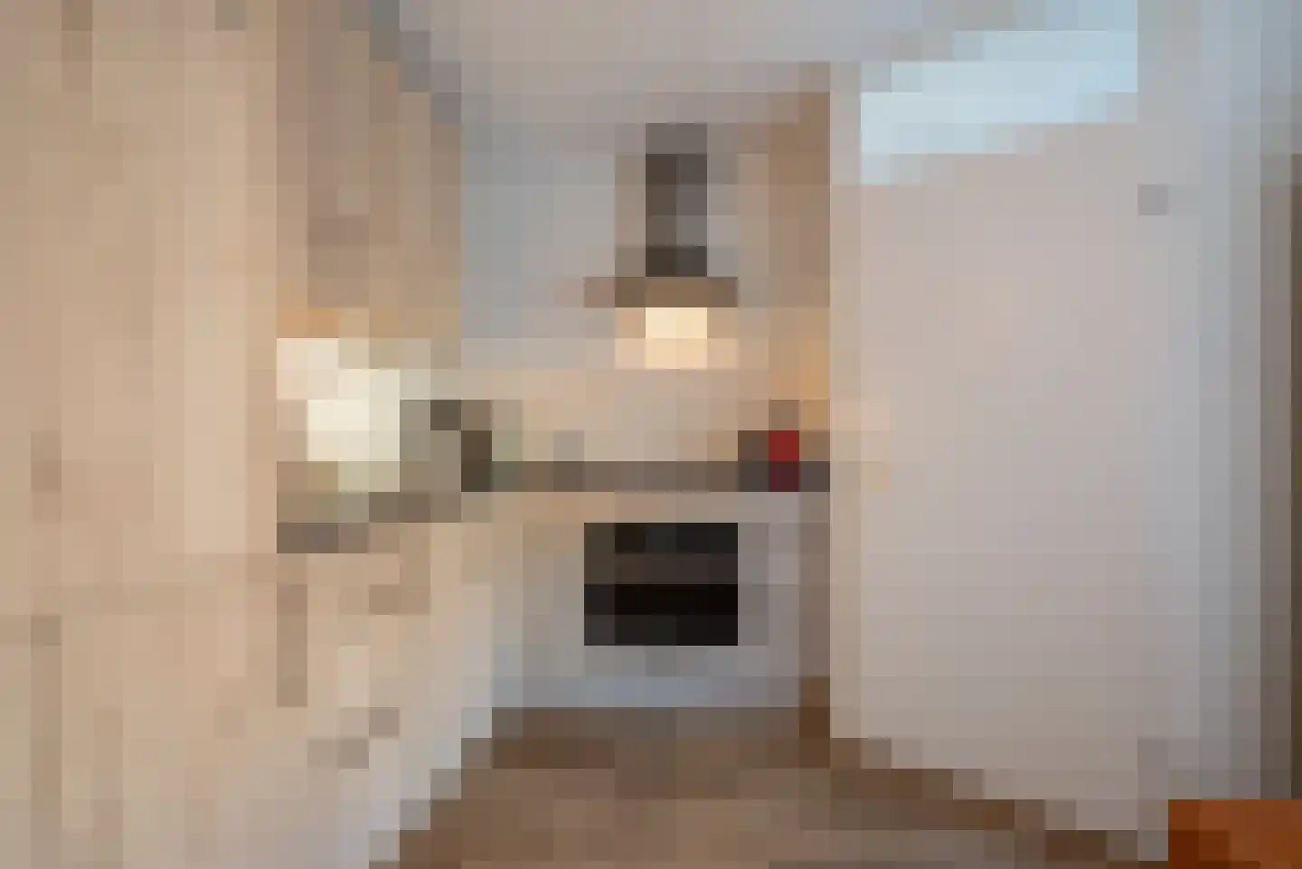Boerhoorn 3 Glimmen thumbnail 25