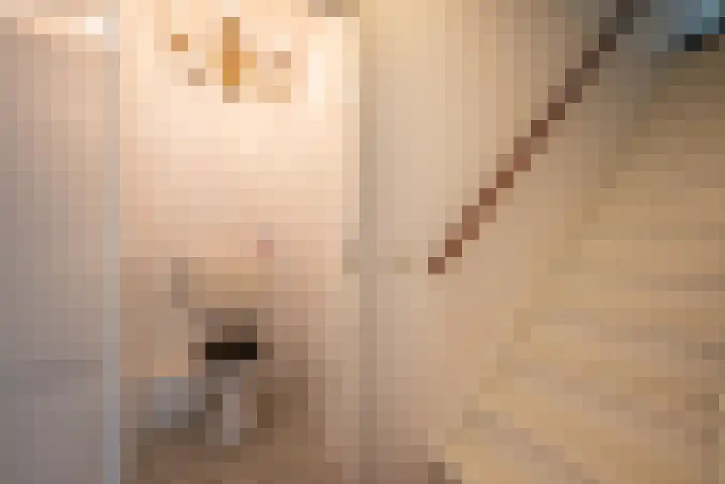 Boerhoorn 3 Glimmen thumbnail 31