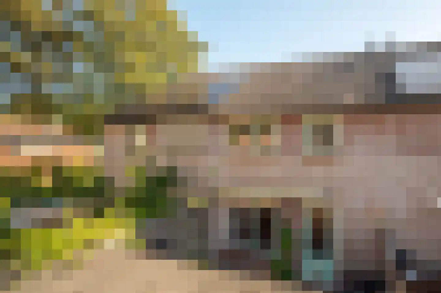Boerhoorn 3 Glimmen thumbnail 42