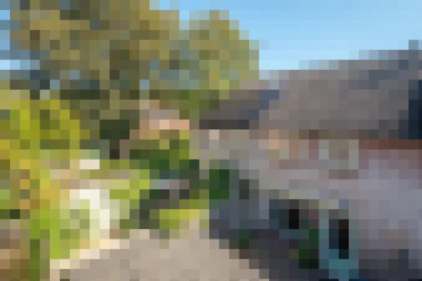Boerhoorn 3 Glimmen thumbnail 43