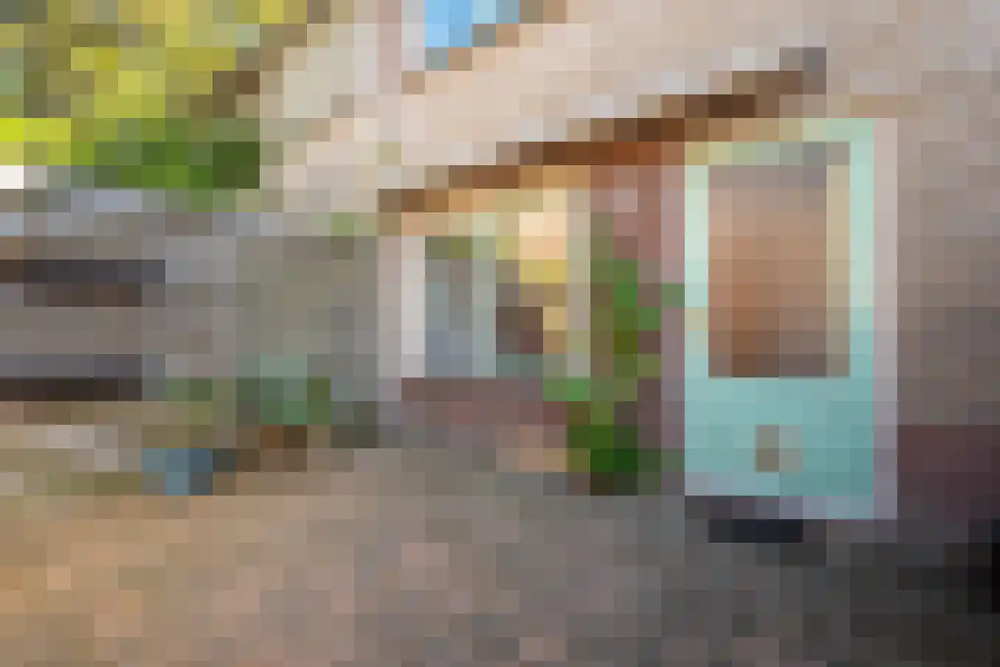 Boerhoorn 3 Glimmen thumbnail 44