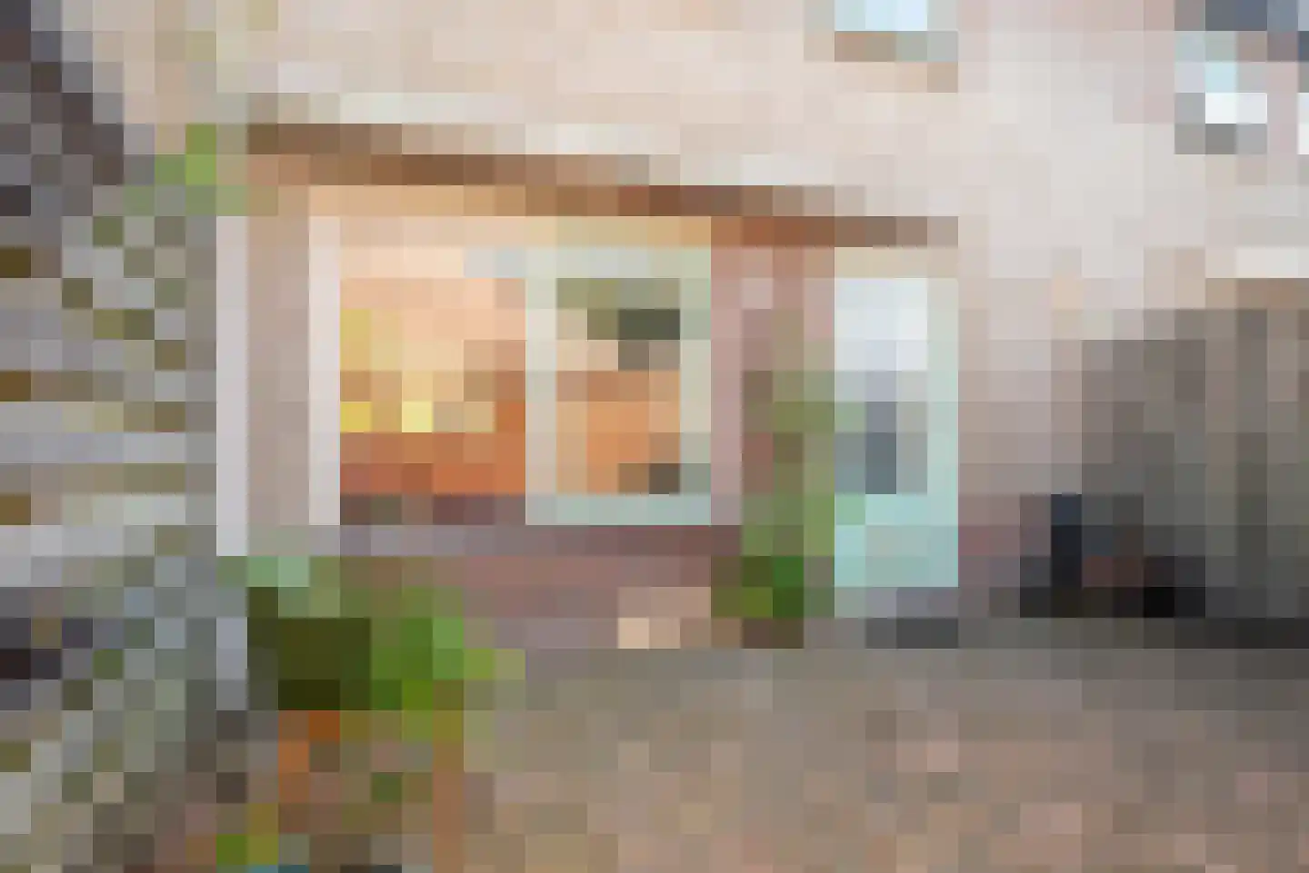 Boerhoorn 3 Glimmen thumbnail 45